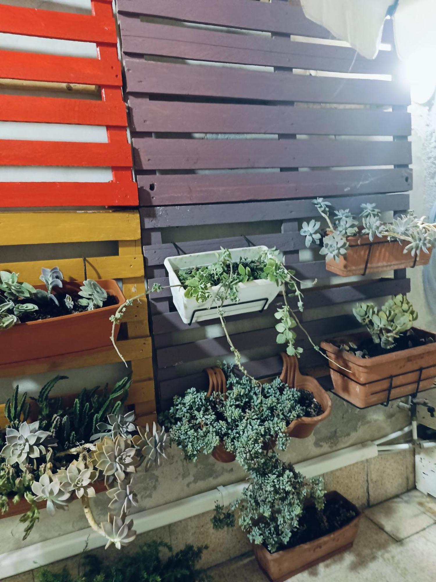 Casa Ierone L'Etneo Apartment Сиракуза Екстериор снимка